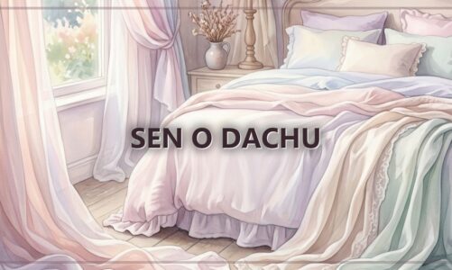 Sen o dachu
