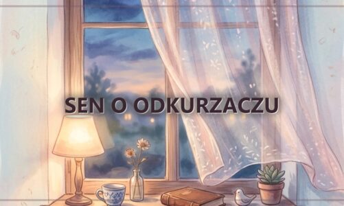 Sen o odkurzaczu